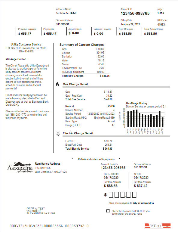 USA ALEXANDRIA utility bill Word and PDF template